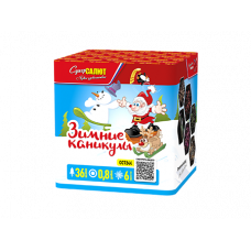 Батарея салютов / Зимние каникулы (0,8" х 36)