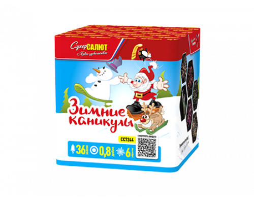 Батарея салютов / Зимние каникулы (0,8" х 36)